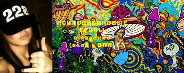 экстази Белокуриха