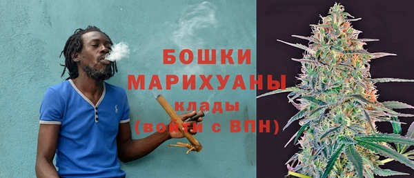 индика Белоозёрский